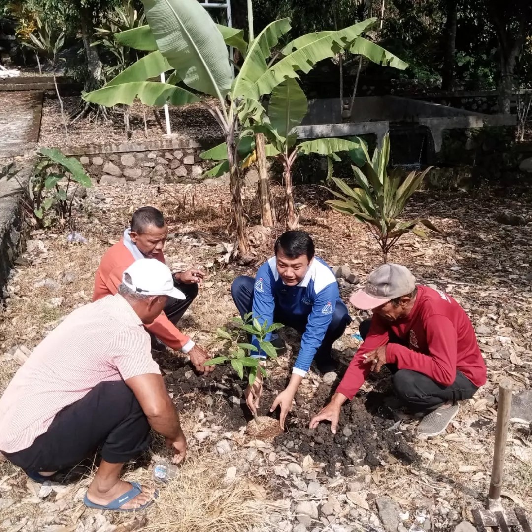 GERAKAN PENANAMAN POHON